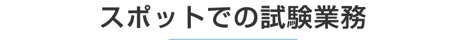 スポットでの試験業務